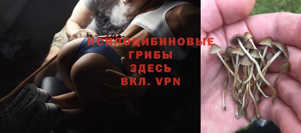 индика Михайлов