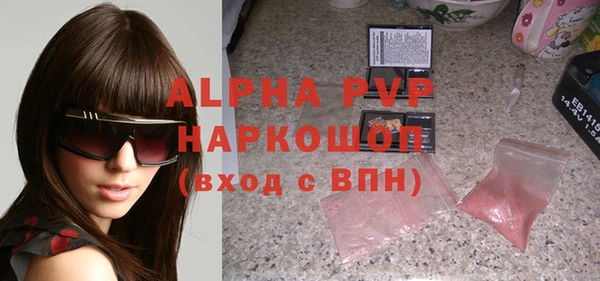 индика Михайлов