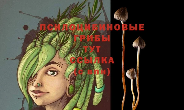 индика Михайлов