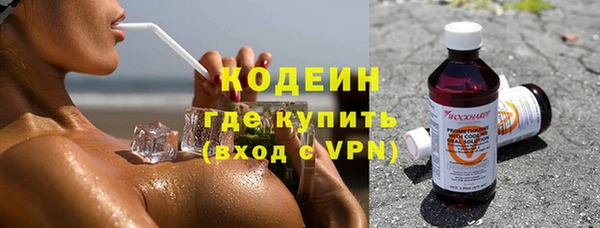 индика Михайлов